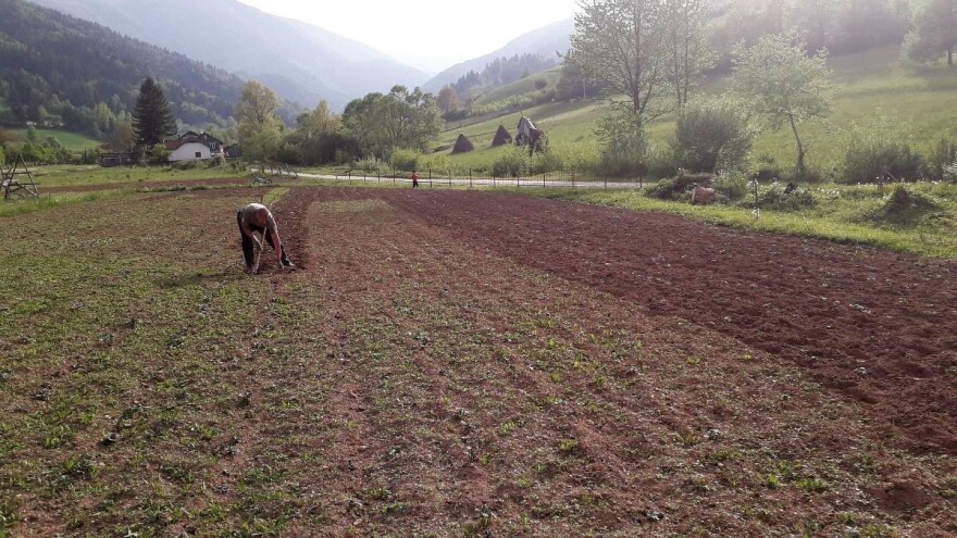 Isplaćena podrška za proljetnu sjetvu u Kantonu 10, najavljeni i ostali poticaji