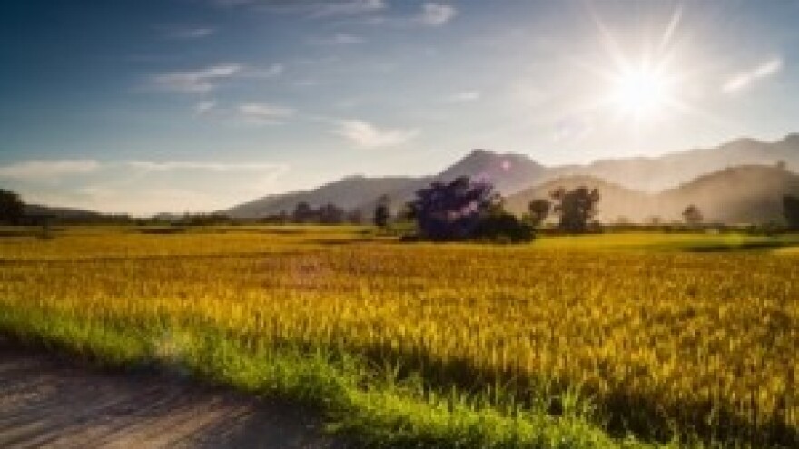 Javni poziv za zakup u Općini Hercegovac