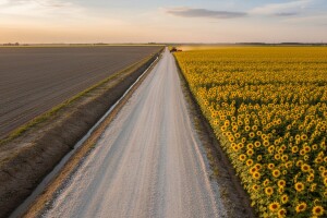 Općini Jagodnjak 2,6 milijuna kuna