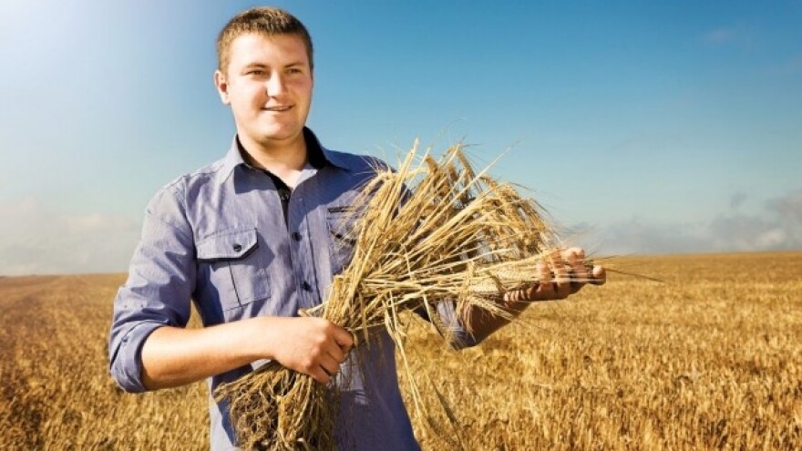 Kako do stabilnih prinosa pšenice i ječma?