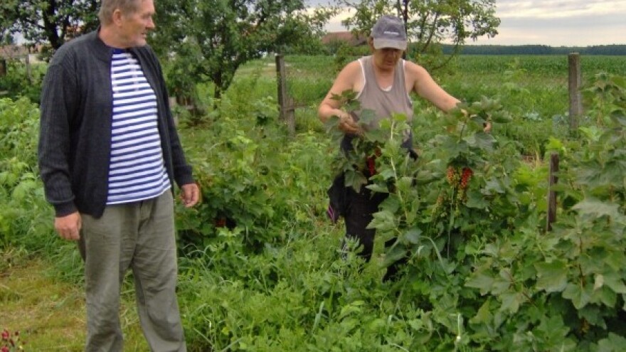 Uzdaj se u se i u svoje voće