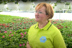 Ljetno cvijeće - što saditi na koje položaje i kako ga njegovati?