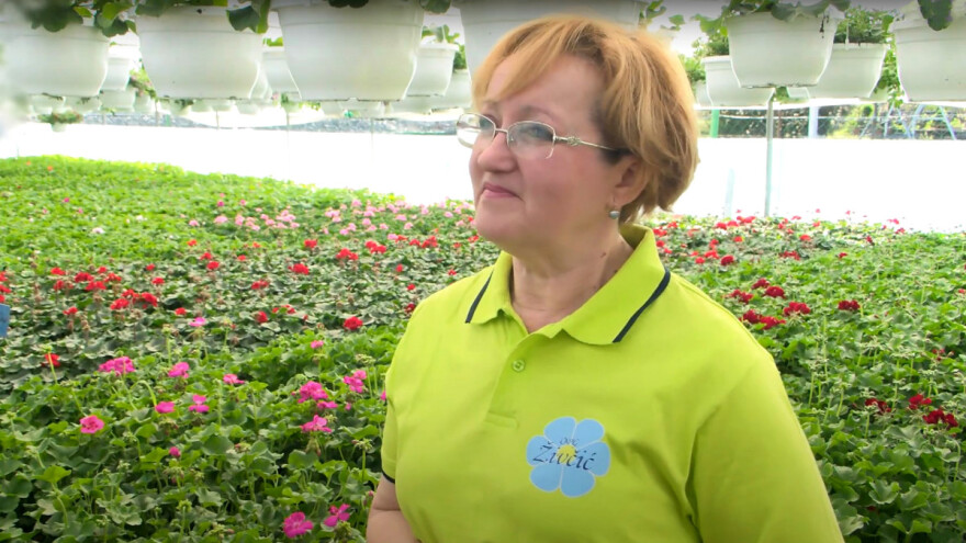 Ljetno cvijeće - što saditi na koje položaje i kako ga njegovati?