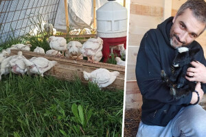 Od ideje u koroni do urbane farme i proizvodnje mesa i jaja, a sve je krenulo s prvih 20 brojlera
