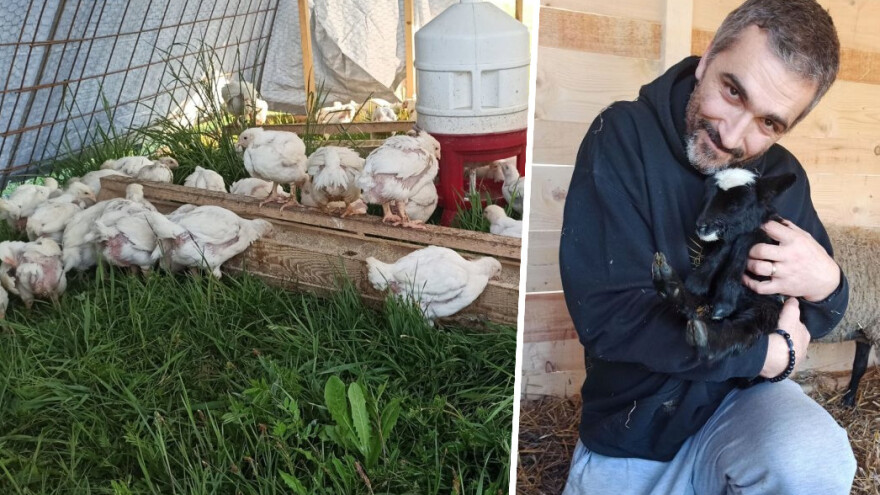 Od ideje u koroni do urbane farme i proizvodnje mesa i jaja, a sve je krenulo s prvih 20 brojlera