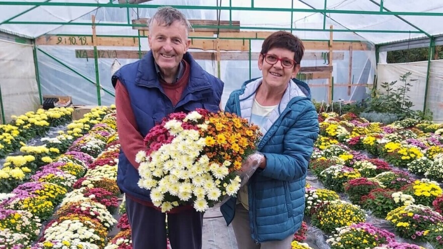 Trideset godina ljubavi i truda: Kako su Luka i Milka Adžić stvorili oazu cvijeća i povrća