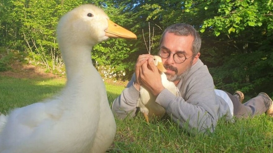 Alen Polić: Danas znam što znači imati blago i smatram da dolazi vrijeme malih OPG-ova