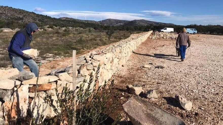 Zapuštenu parcelu pretvaraju u kolekcijski maslinik i ograđuju suhozidom