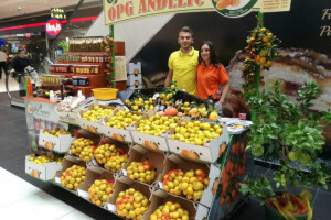Mandarina zbog mraza manje, ali kvaliteta nikad bolja!
