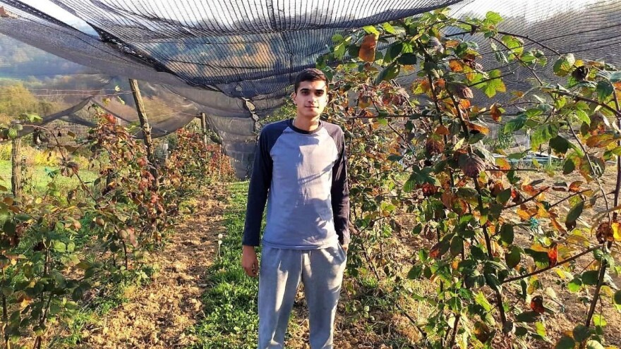 Zagreb zamijenio selom i pokrenuo uspješan posao s bobičastim voćem