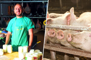 Nikad veća potražnja: Svinjska mast kao zamjena za suncokretovo ulje