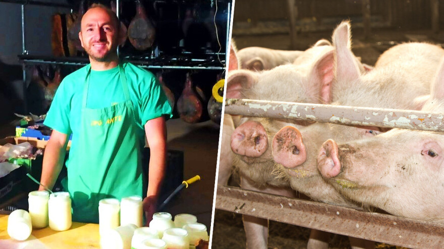 Nikad veća potražnja: Svinjska mast kao zamjena za suncokretovo ulje