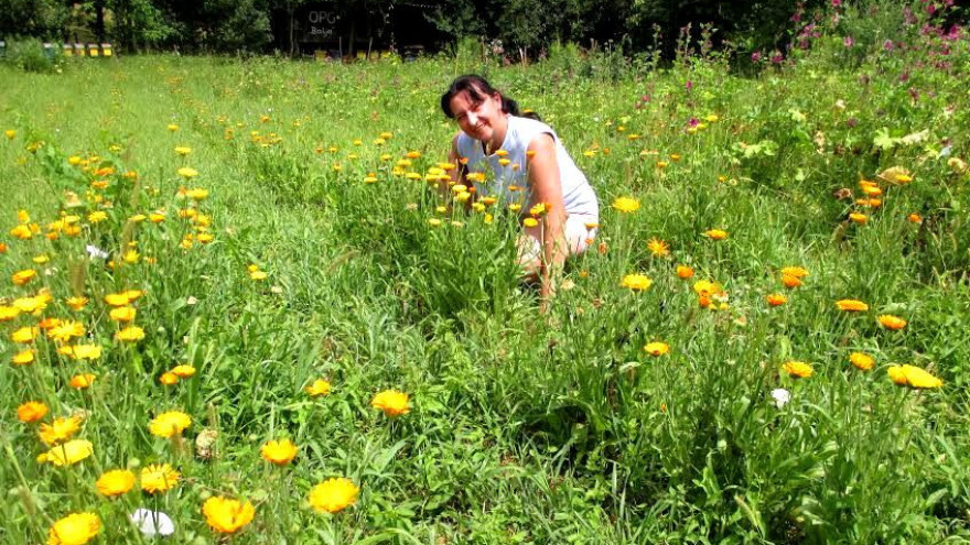 Od stogodišnje tradicije u pčelarstvu do kozmetike od meda!