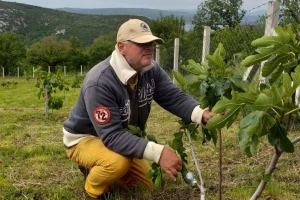 OPG Barac: Naslijedili zemljište, preselili iz inozemstva i upustili se u poljoprivredu
