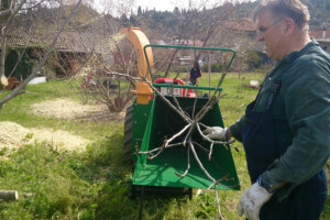 Zbog mrazeva i suše umjesto vagona tek sto kila mandarina