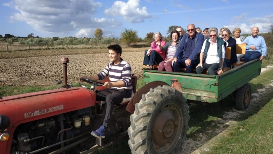 Turisti plaćaju 100 eura da bi brali masline i vozili se traktorom!