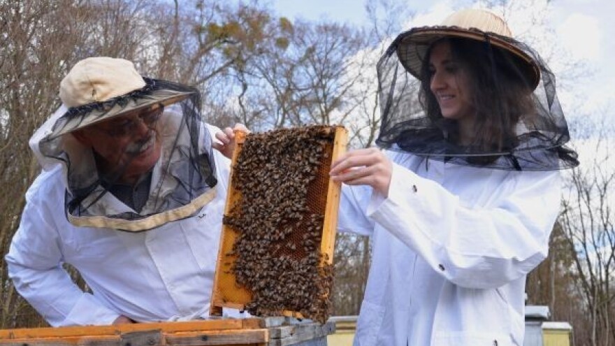 Pčelinji proizvodi iz radionice obitelji Čavlina