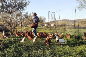 Permakultura je "putovanje", svako bi trebao dati malo da bi svi imali više