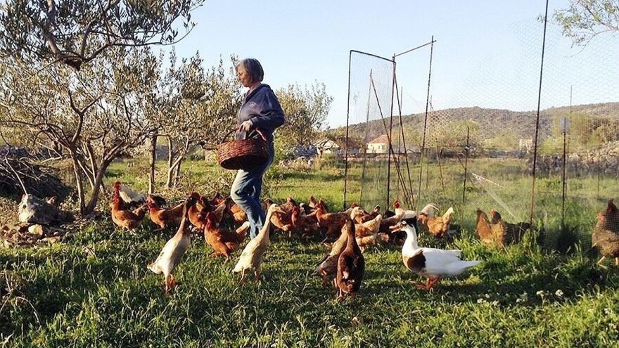 Permakultura je "putovanje", svako bi trebao dati malo da bi svi imali više