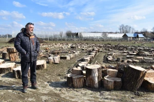 OPG Čudesna šuma: Koriste biodinamičke pripravke - jedan je od rogova i balege krave