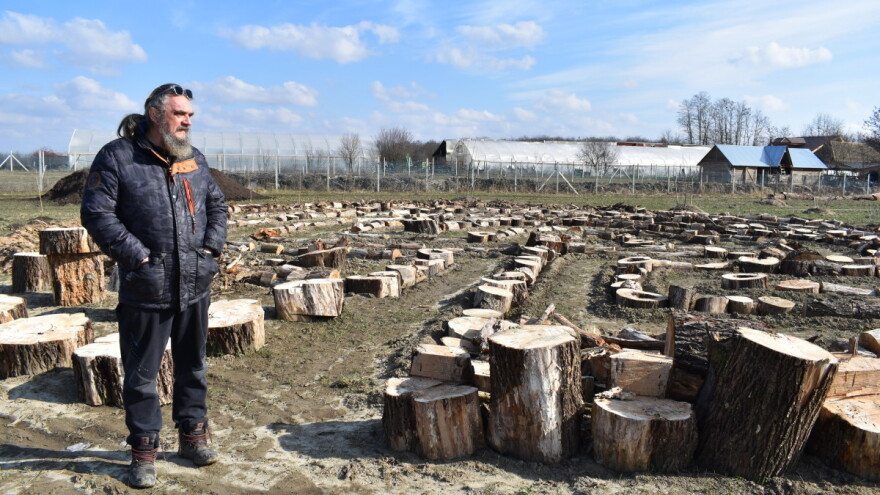 OPG Čudesna šuma: Koriste biodinamičke pripravke - jedan je od rogova i balege krave