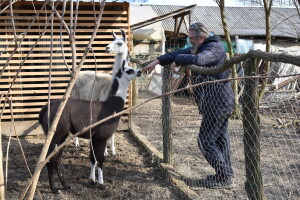 Greenlider 2022: Mariju Romuliću i Čudesnoj šumi nacionalna nagrada za okoliš