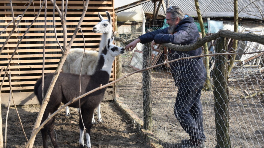 Greenlider 2022: Mariju Romuliću i Čudesnoj šumi nacionalna nagrada za okoliš