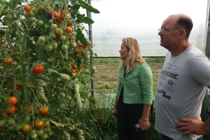 Darko Šipek: Nepovjerenje potrošača u domaće eko proizvode i dalje je veliko