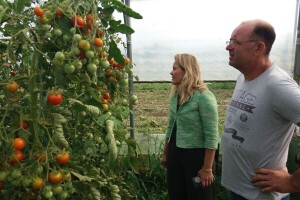 Darko Šipek: Nepovjerenje potrošača u domaće eko proizvode i dalje je veliko