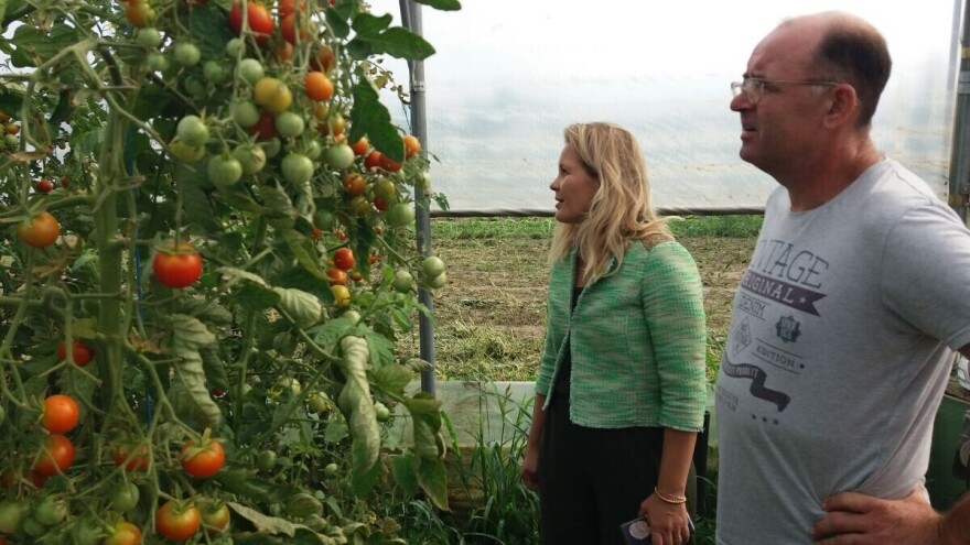 Darko Šipek: Nepovjerenje potrošača u domaće eko proizvode i dalje je veliko