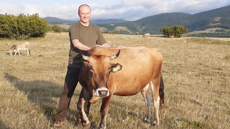 Stočari na kršu u neizvjesnosti zbog novog ZPP-a, umanjenje potpora ugasit će PG-ove