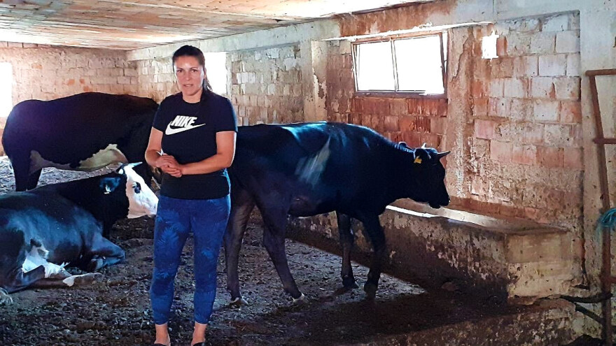 Fitnes trenerica i bivši košarkaš se bore sa sušom za opstanak stada na ličkim pašnjacima