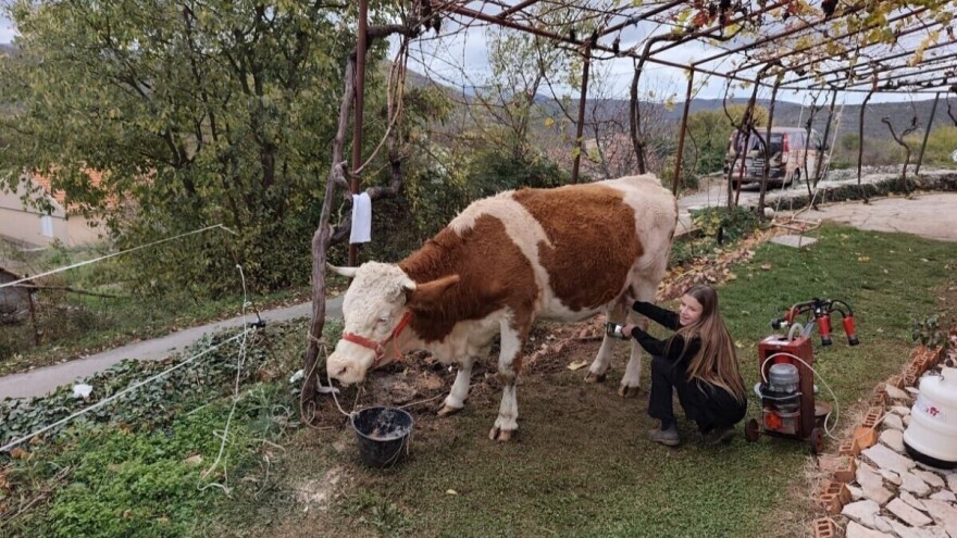 Podizanje iz pepela nakon razornog požara: Ranč obitelji Dorat opet će primati posjetitelje