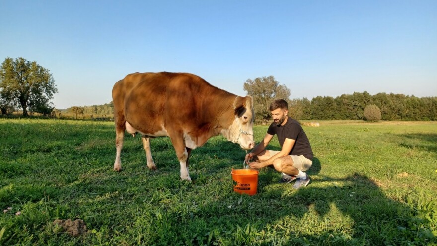 Za sir s OPG-a Rajaković čeka se u redu, ključ je u kvalitetnoj hranidbi