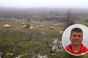 Emil Baltić kondicijski je trener odbojkaške reprezentacije, ali  i vrhunski - stočar!