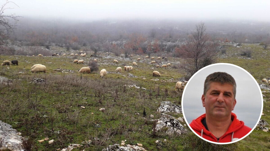 Emil Baltić kondicijski je trener odbojkaške reprezentacije, ali  i vrhunski - stočar!