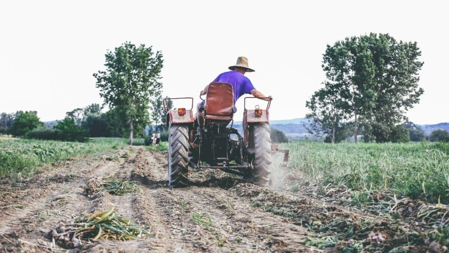 Poljoprivredom se može baviti skoro svatko, ali ako je jedini cilj ostvariti zaradu, tu nema kruha