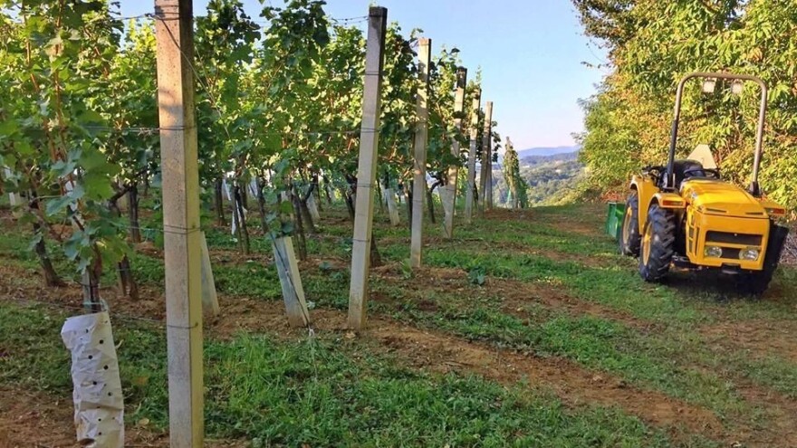 Vinska priča OPG-a Furjan: u poljoprivredi nema bogaćenja preko noći, ali s godinama se možete razviti u respektabilno gospodarstvo