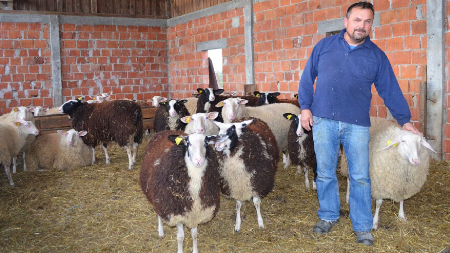 Prognozirali su nam propast - nisu bili u pravu!