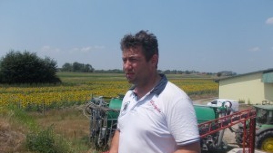 Gradska djeca koja se ne boje svinjogojskih izazova