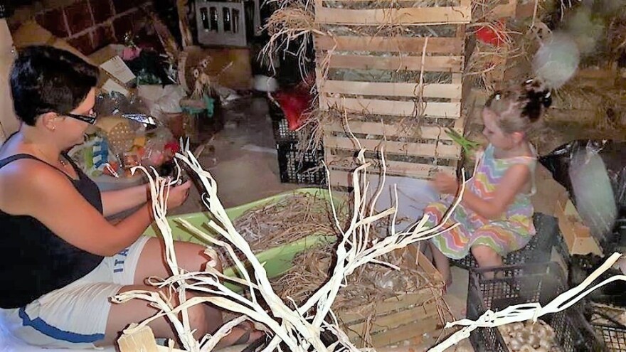 Danijel Gostrec: U igri je bila aronija ili kupina, ali kada smo sve zbrojili odlučili smo se na uzgoj češnjaka