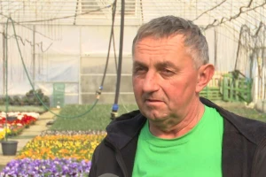 OPG Grabrović: Živo cvijeće ljepše je i ekološki prihvatljivije od plastike
