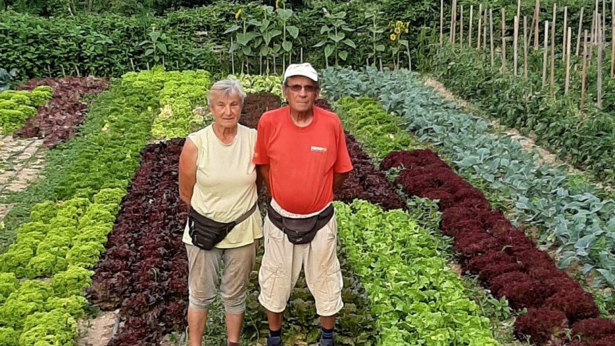 Počeo s 49 godina, danas je Vlado Hedl (78) primjer uspješnog poljoprivrednika!