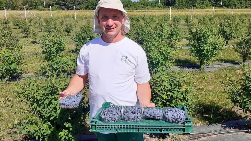 Babojelić: Solari su nam donijeli 80 posto manje račune za struju, ali moglo bi biti još bolje