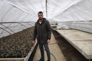 Na OPG-u Jurić godišnje proizvedu oko milijun presadnica povrća i začinskog bilja