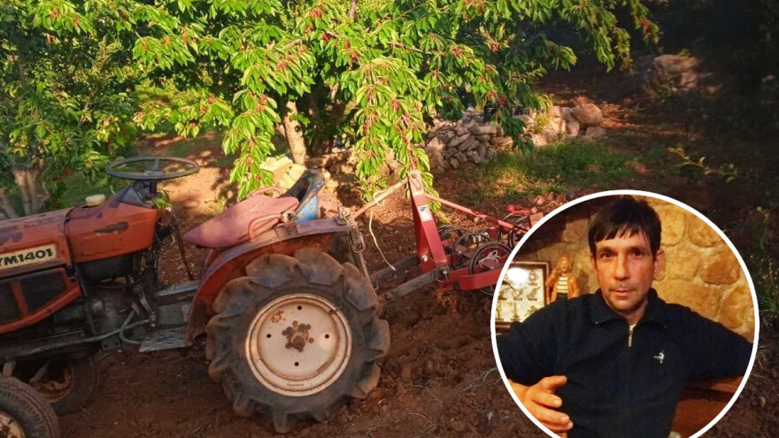 Klaudio Ferlora: Japanska mušica uništava urod trešanja, gdje je struka?