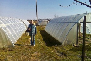 Krenuli od jednog, sada imaju 8, a cilj im je 14 plastenika i 100 posto eko proizvodnja povrća
