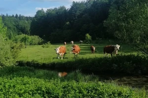 OPG Končar: Poljoprivreda i turizam u Lici moraju ići "ruku pod ruku"