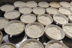 Domaći sir i vrhnje, jogurt, kefir - sve to stiže s OPG-a Konjušić i od mlijeka njihovih kravica pasmine Jersey