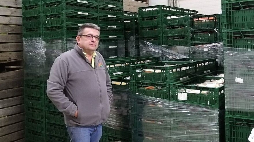 Nenad Kosi: Na cijenu povrća ne možemo utjecati, ali izbor sjemena i prinos je na nama